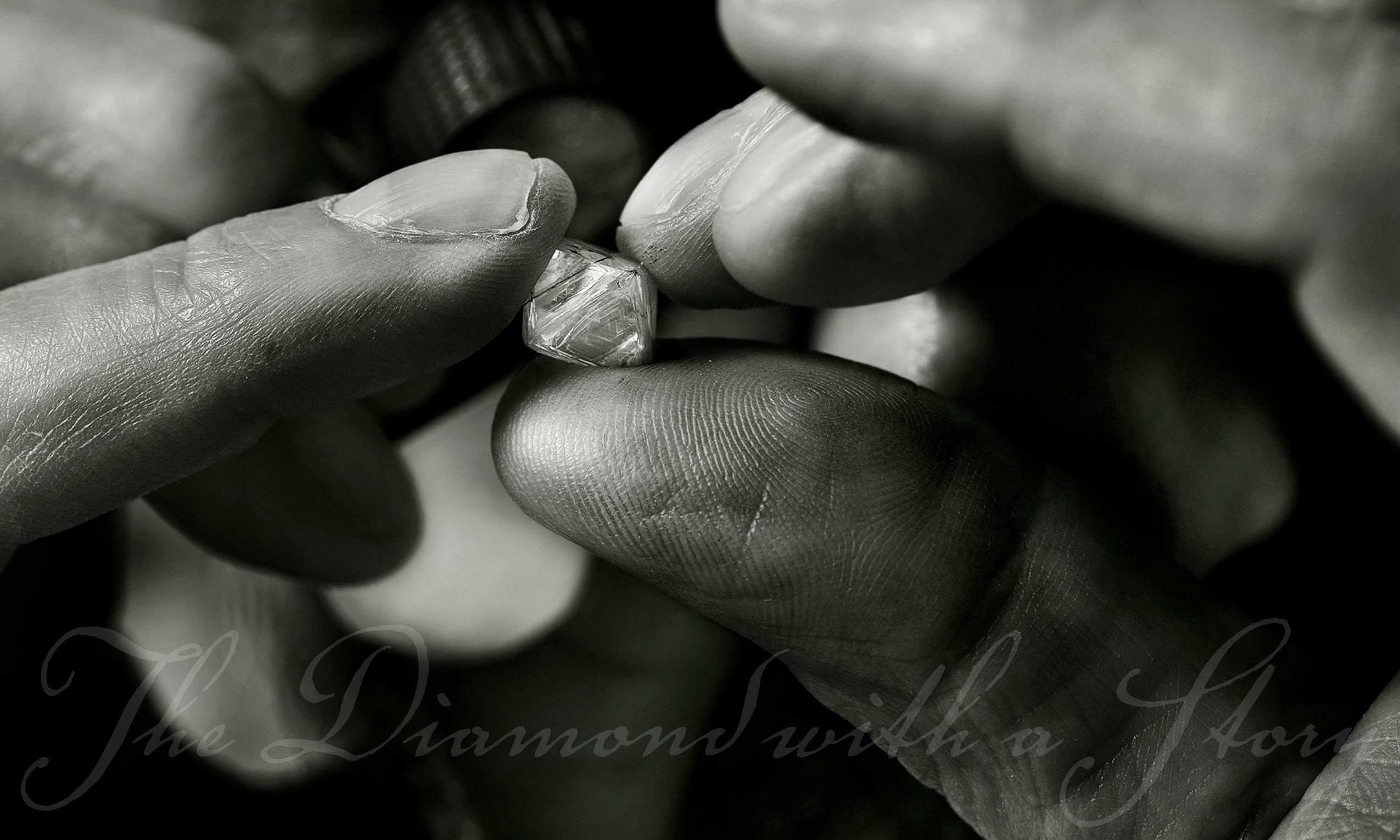 RLD_RioTi_Hero-Image