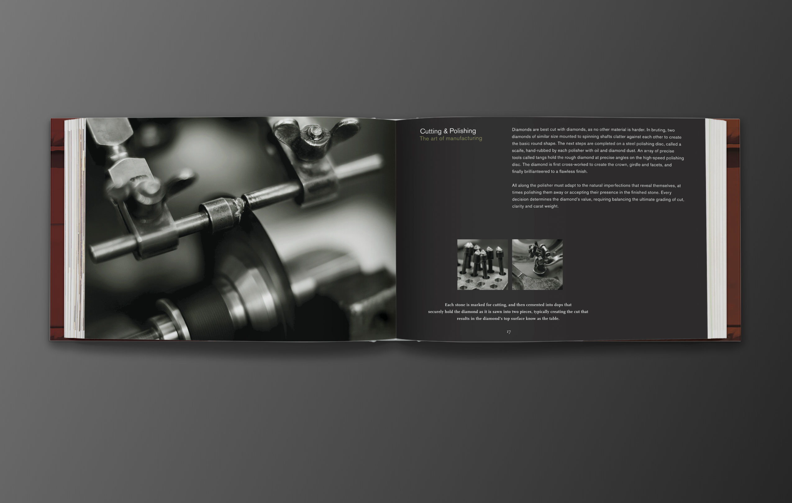 Crisdiam_Project-page_2_nz2_c