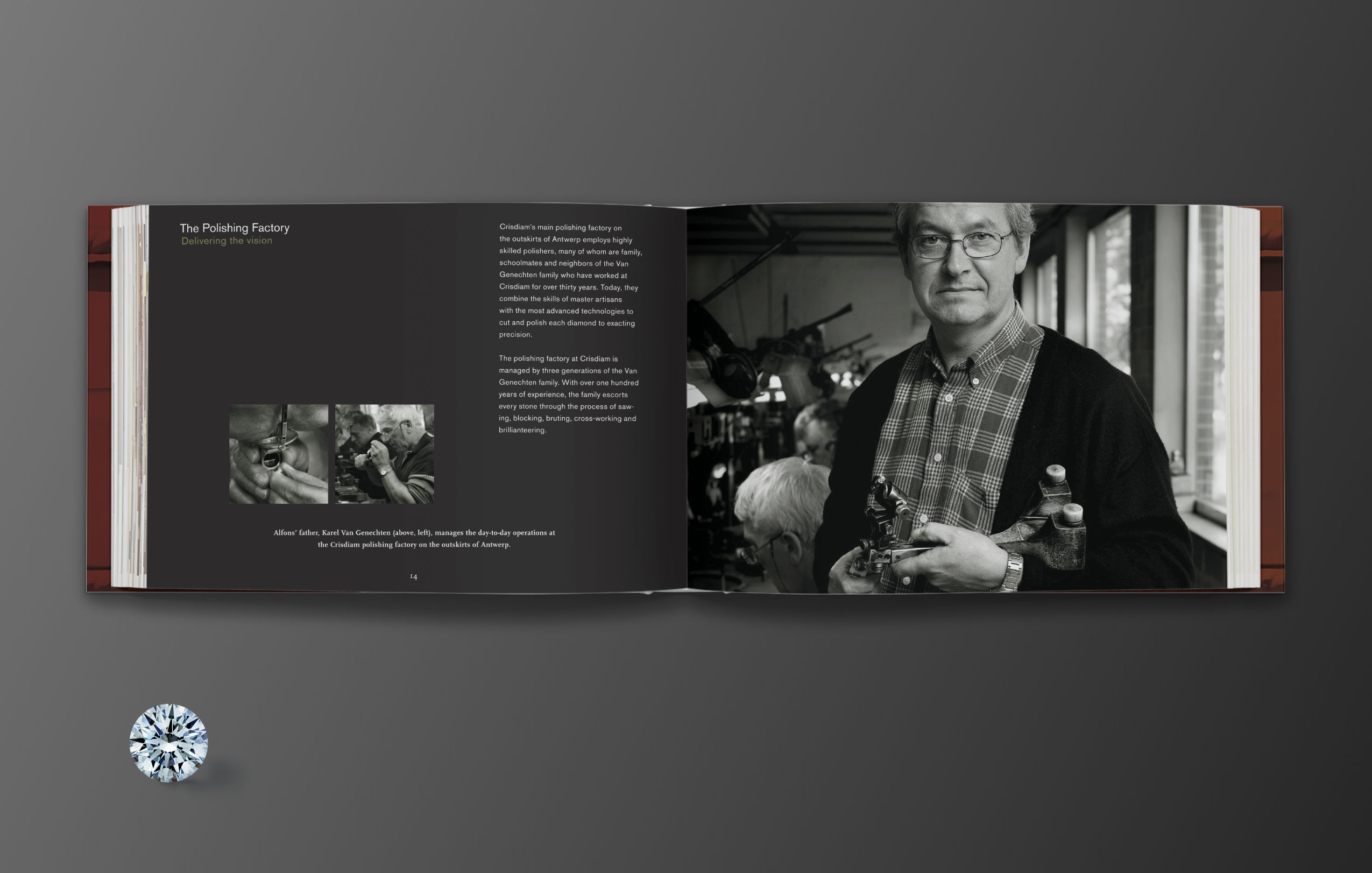 Crisdiam_Project-page_2_nz2_d