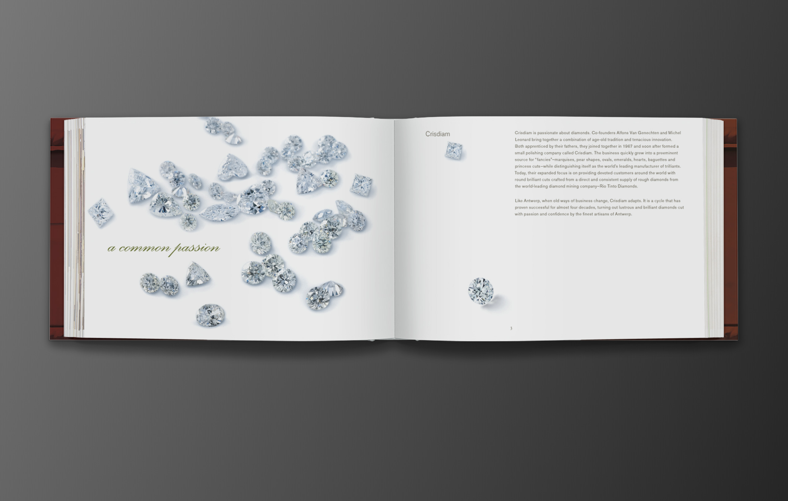 Crisdiam_Project-page_2_nz2_e