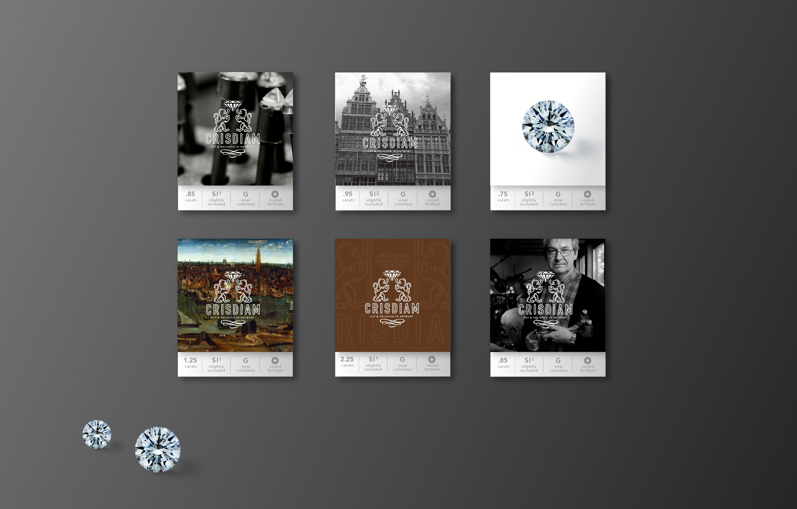 Crisdiam_Project-page_2_nz2_f