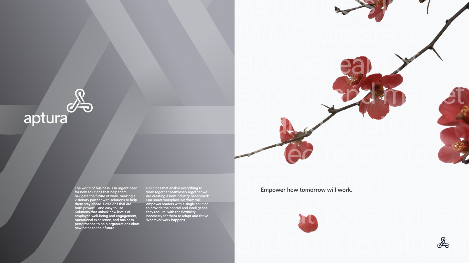 ‎Direction_3_-SnowFlake_C.‎001