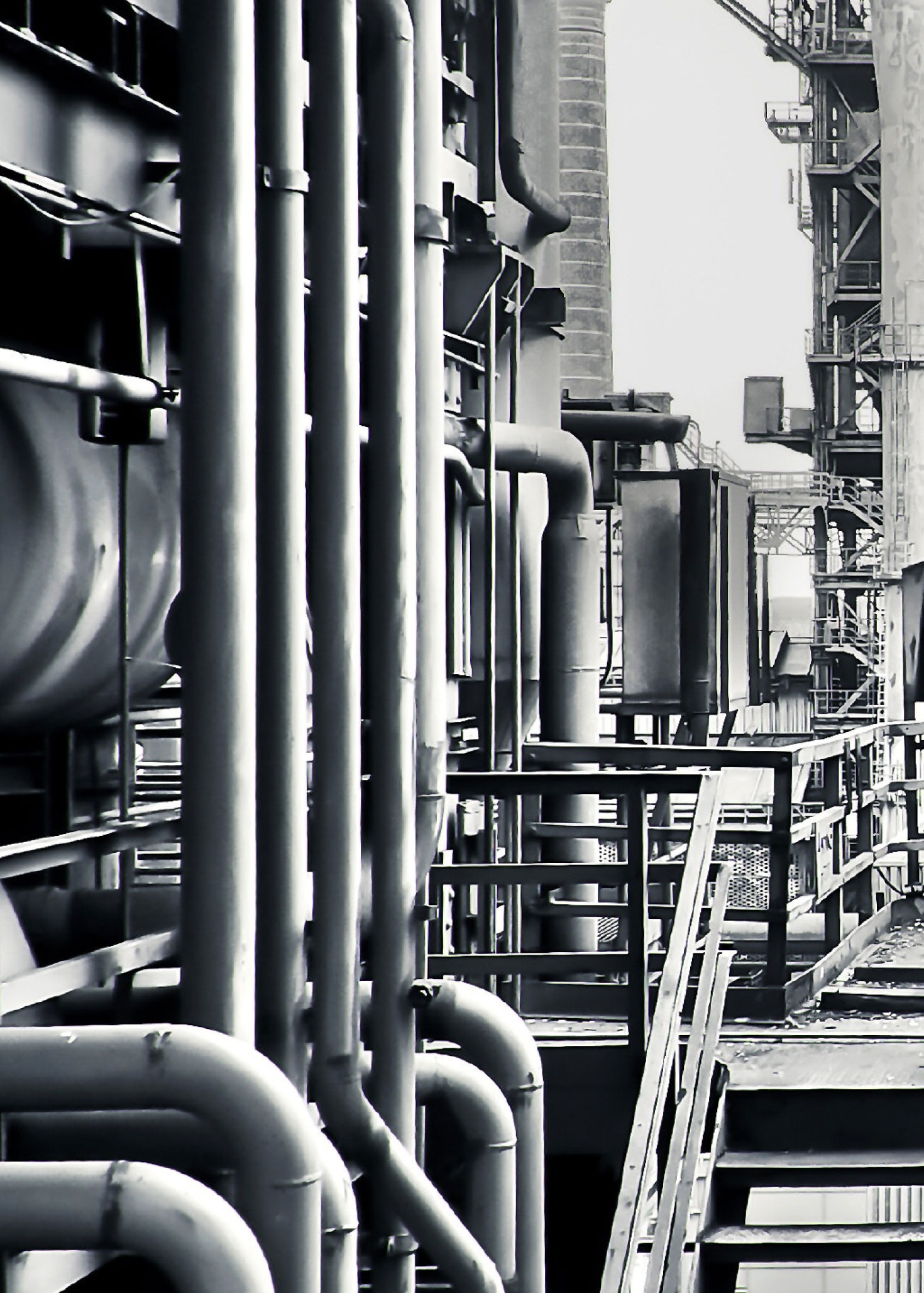 Veriforce-col3-2-min